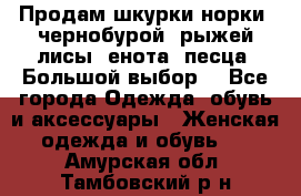 Продам шкурки норки, чернобурой, рыжей лисы, енота, песца. Большой выбор. - Все города Одежда, обувь и аксессуары » Женская одежда и обувь   . Амурская обл.,Тамбовский р-н